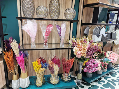 حي الزهور - عجمان - +971 50 538 3903