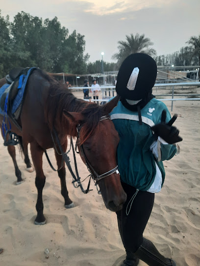 اسطبلات الصائب - United Arab Emirates|Wadi Al Amardi - Dubai|6F28+3CC