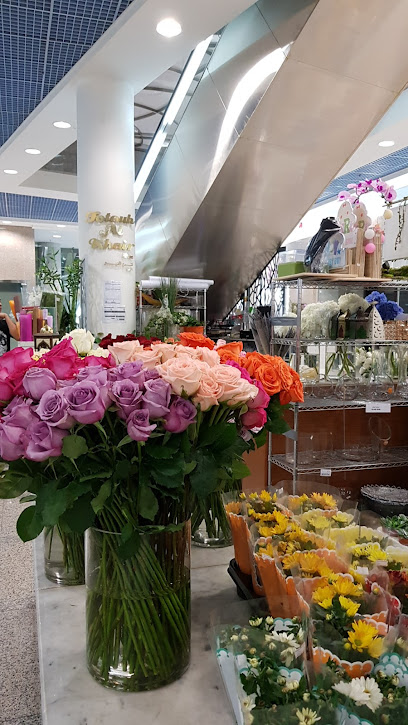 محل فتوح الخير للزهور - United Arab Emirates|Al Danah - Zone 1 - Abu Dhabi|Sheikh Rashid Bin Saeed Al Maktoum Street (Old Airport Road)|F9M5+WC8