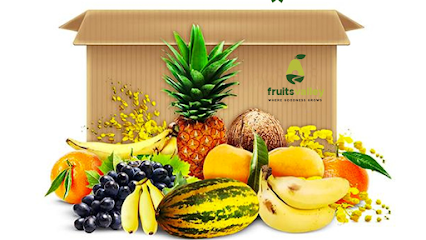 مزارع وادي الفواكه - عجمان - +971 55 916 0315