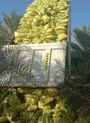 مقص أخضر للحلاقة - دبي - +971 55 596 4843