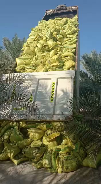مقص أخضر للحلاقة - United Arab Emirates|Mzeerʻah - Mezairaa - Abu Dhabi|4RM2+2RM