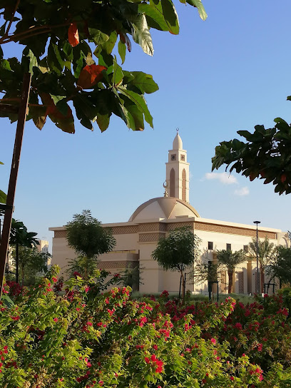 بحيرة الرويس بحيرة الرويس - United Arab Emirates|Al Dhannah City - مدينة الرويس - Abu Dhabi|3JQW+HJV