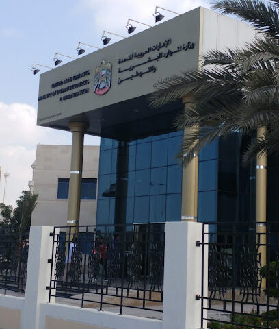 وزارة الموارد البشرية والتوطين - عجمان - دبي - +971 800 60