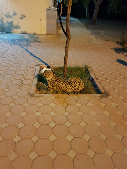 مزرعة الذيد - United Arab Emirates|Sharjah|Unnamed Rd|7XC3+C2J