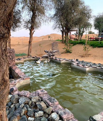 عزبة بن خميس الطنيجي - عجمان -