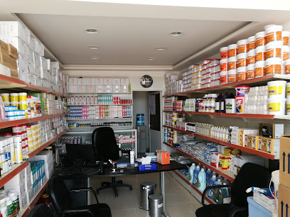 نجمة الشرق للطب البيطري - أبو ظبي - +971 50 533 1580
