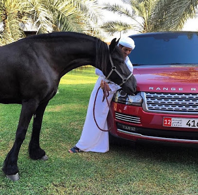 YRM مستقر - دبي - +971 50 311 0999