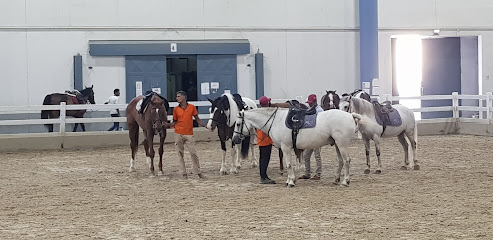 حلبة ركوب داخلية - دبي - +971 6 531 1155