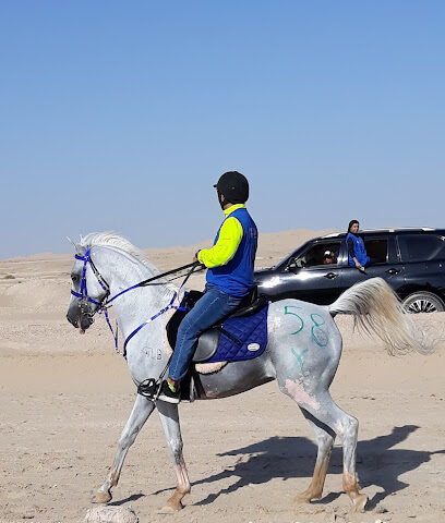 أكاديمية بني ياس للفروسية - دبي - +971 50 823 2900
