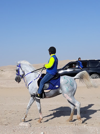 أكاديمية بني ياس للفروسية - United Arab Emirates|Bani Yas - East 13 - Abu Dhabi|الشارع العام،|7MP7+7VX