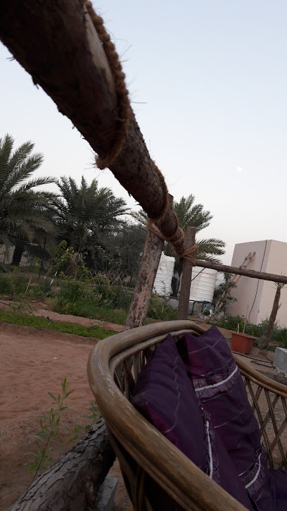 حقل الطوية - United Arab Emirates|Al Tiwayya - Abu Dhabi|7M4V+PJJ