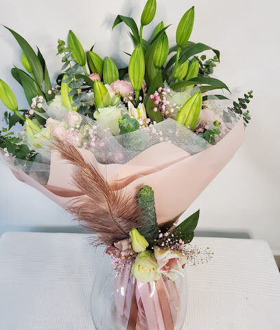 زهور جاردينيا - عجمان - +971 2 645 5536