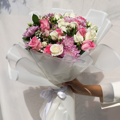 الأمة فلور - عجمان - +971 56 916 7144
