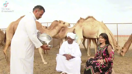 حديقة - دبي -