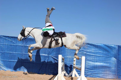 رحال رانش - دبي - +971 56 698 8848