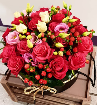زهور فريزيا - عجمان - +971 55 745 7544