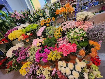 زهور التوليب السوداء ذ م م - شويترامس أم سقيم - عجمان - +971 55 221 9343