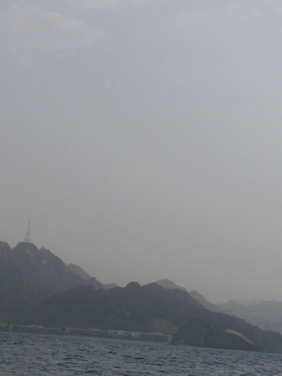 مزرعة الصالح - United Arab Emirates|Dibba Al-Fujairah|Al Saleh Farm  |H8WR+V59