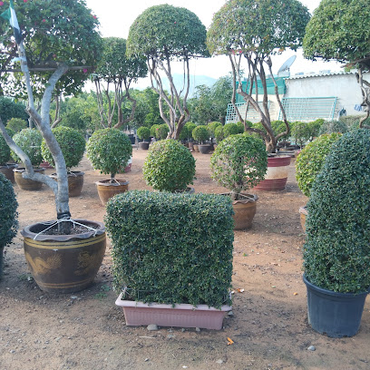 حديقة راكيبور رأس الخيمة - دبي - +971 56 988 5051
