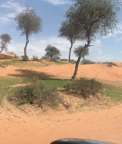 منطقة الخديجة - عجمان -