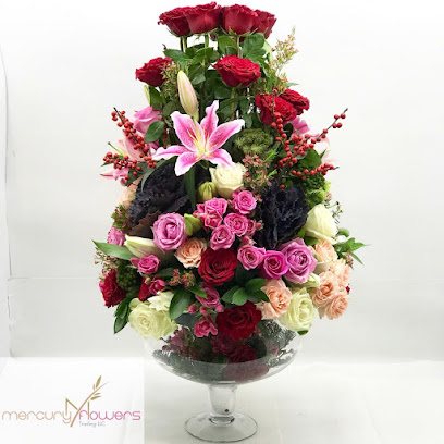 ميركوري فلاورز للتجارة ذ - عجمان - +971 55 625 4783