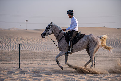 اسطبل اس اس الوثبة - دبي - +971 56 672 2221