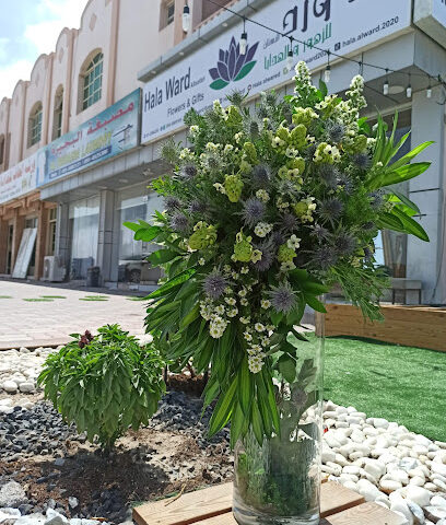 هلا ورد البستان للزهور والهدايا - عجمان - +971 58 590 9105