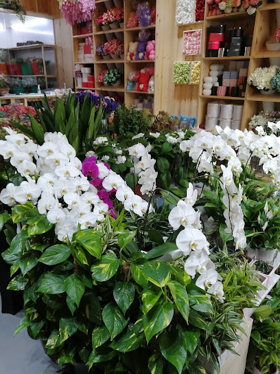 فلورا ريتشي - United Arab Emirates|Jumeirah - Jumeirah 3 - Dubai|Al Wasl Rd|Flora Riche Flowers Trading LLC Lamar Building