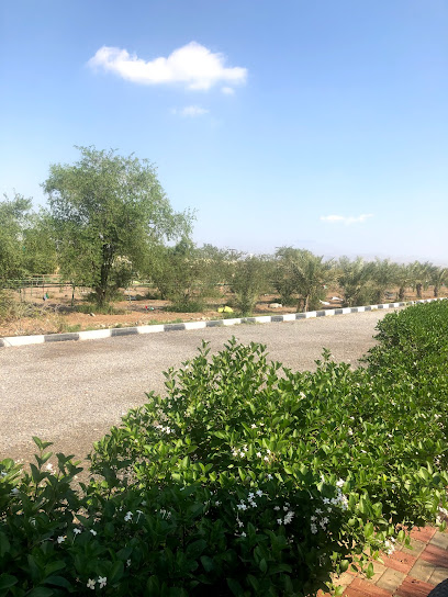 مزرعة الاخوة - United Arab Emirates|Mudfak - Ras al Khaimah|Al Manama Road