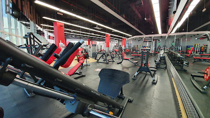 متروفيت بيتش بارك بلازا - دبي - +971 52 972 6780