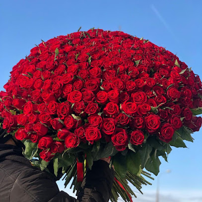 زهور فينيرا - عجمان - +971 55 335 3800