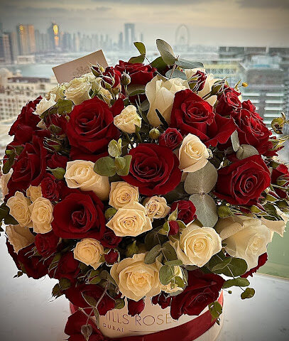 بيفرلي هيلز روزيز - عجمان - +971 55 400 8588