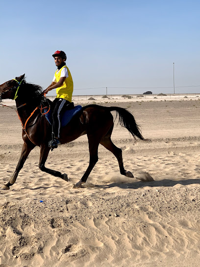 إسطبلات الحب للقدرة - United Arab Emirates|Al Bahyah - Abu Dhabi|GJJQ+JGH