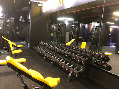 صالة لايف ، العين - دبي - +971 50 583 8940