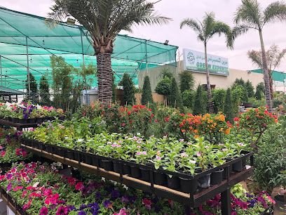 الخبراء الأخضر - دبي - +971 56 505 4031