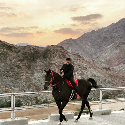 مربط المطلعي - دبي - +971 50 590 5511