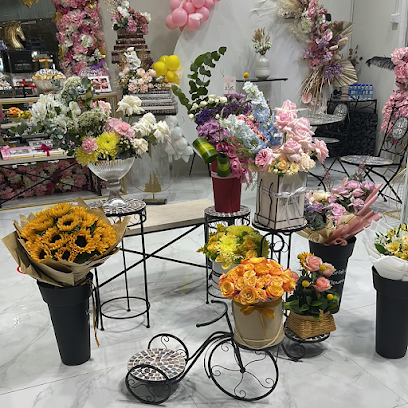 بلومز بلومز - عجمان - +971 50 602 3777