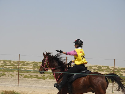 إسطبلات أساور للفروسية - دبي - +971 50 912 5571