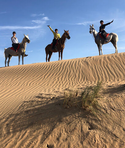 MS9 مستقر - دبي - +971 55 233 2677