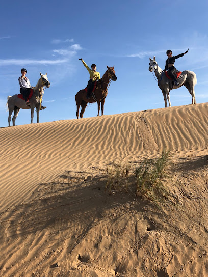 MS9 مستقر - United Arab Emirates|Dubai|Al Rawayha