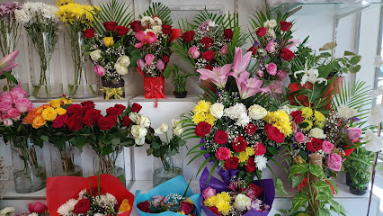 أزهار التاج - عجمان - +971 6 563 9713