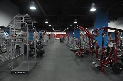 صالة ألعاب رياضية - دبي - +971 56 663 1355