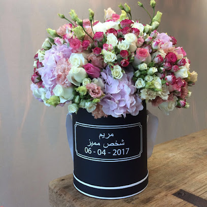 ستوديو فلور - عجمان - +971 52 509 8012