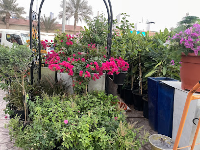سيتى سبرينج لتنسيق الحدائق - دبي - +971 50 788 3167