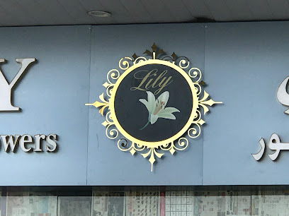 رائعة عباية عجمان الإمارات - عجمان - +971 55 474 1373