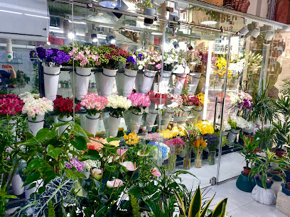 حديقة زهور التوليب - عجمان - +971 4 241 5553
