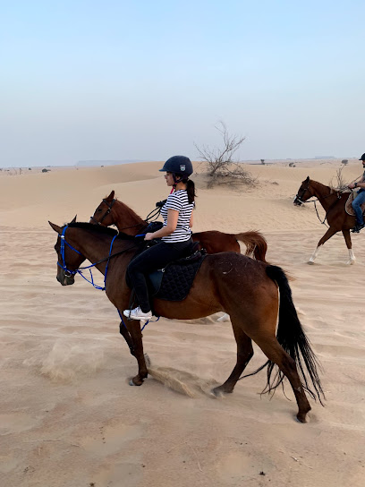 نادي سيتي وان للفروسية - United Arab Emirates|Al Ruwayyah 3 - Dubai|Emirates Rd