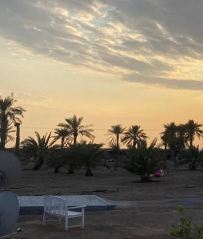 مزرعة سلطان ابراهيم الحساوي - عجمان -