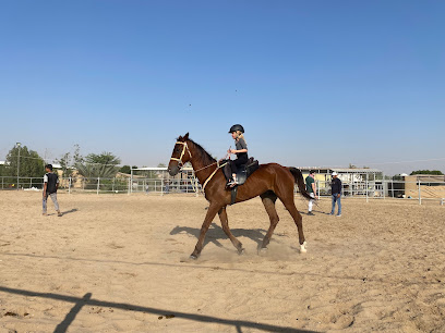 حلم مستقر - دبي - +971 50 885 8516